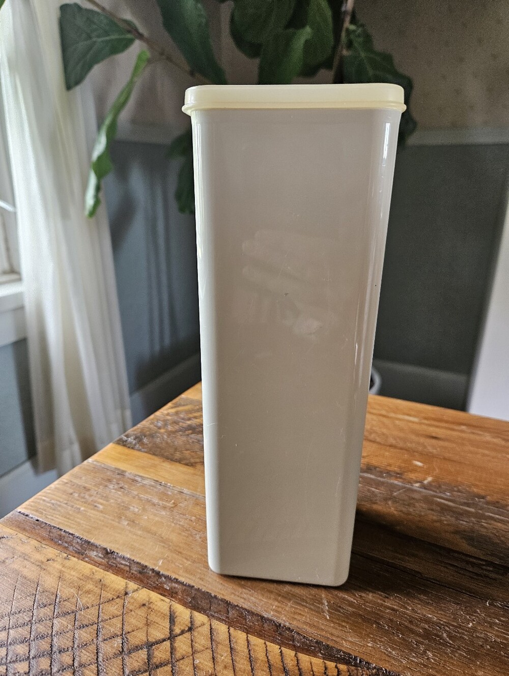 Vintage Tupperware Cheese/Cracker Keeper